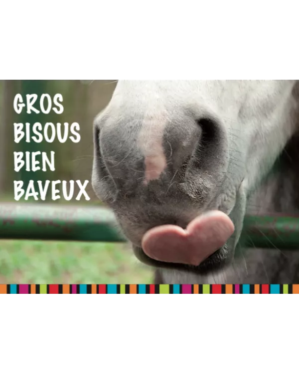 carte postale originale KozySocks Bisous avec cheval