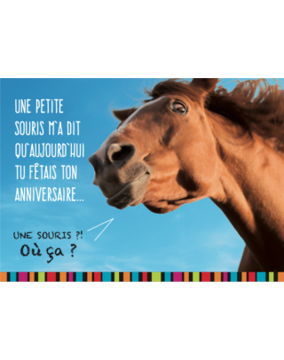 Carte de cheval d'anniversaire, carte de joyeux anniversaire de cheval,  carte de cheval faite à la main -  France