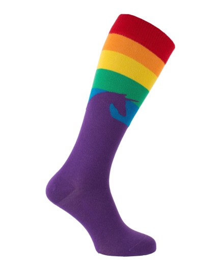 Chaussettes montantes Licorne Arc en Ciel en multicolore violet