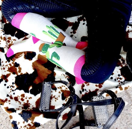Chaussettes d'équitation Cactus en situation sol
