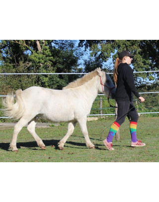 Rainbow Unicorn riding socks | KozySocks