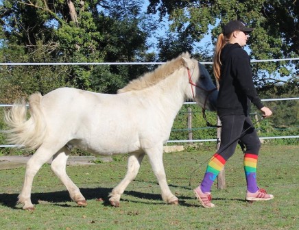 Chaussettes d'équitation Licorne Arc en Ciel sur Ma Petite Crevette