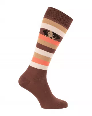 Cool dog riding socks