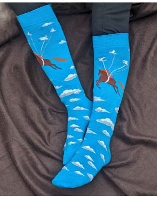 Flying Horse and Birds Riding Socks