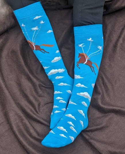 Flying Horse and Birds Riding Socks