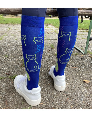 Chaussettes équitation bleu roi 2 avec chats en situation