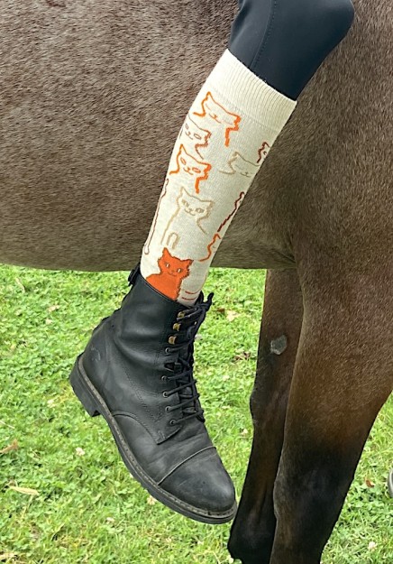 Chaussettes équitation écru avec chats en situation