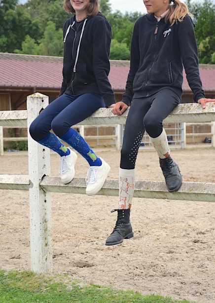 Chaussettes équitation grises avec chats gris et roi en situation