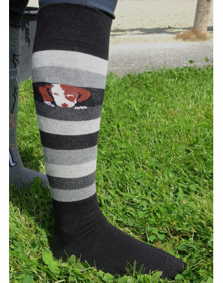 Cool dog riding socks