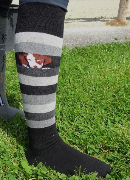 chaussettes d'équitation chien cool rayures grises anthracite et noires en situation