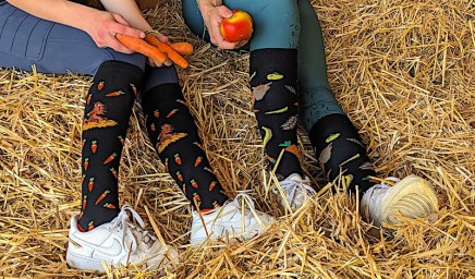 Calze da equitazione con pecore buffe