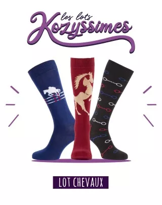 Lot 3 paires de chaussettes d'équitation Chevaux 40/42 avec Mustang