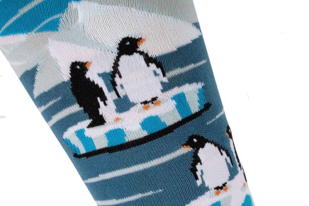 Riding socks Penguins on the ice
