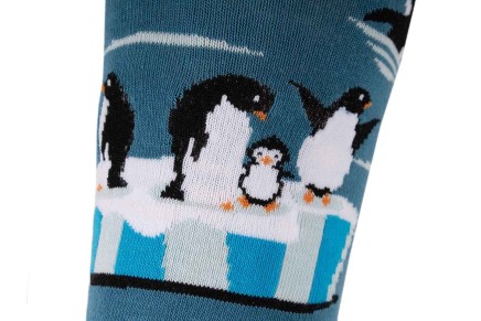 Riding socks Penguins on the ice