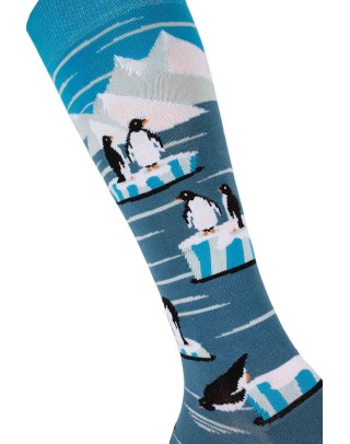 Riding socks Penguins on the ice