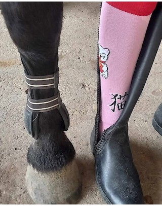 Japanese Maneki Neko cat equestrian socks