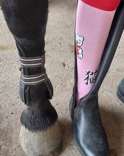 Chaussettes montantes avec chat Maneki Neko porte-bonheur