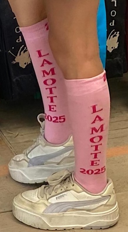 Chaussettes hautes d'équitation Lamotte 2025 rose pastel et fuchsia en situation