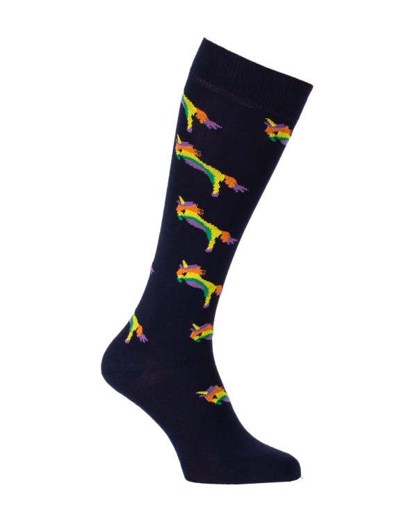 Lilicoco Unicorn riding socks | KozySocks