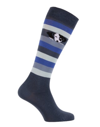 Chaussettes équitation chien