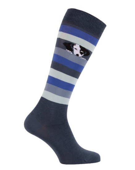 chaussettes d'équitation chien cool rayures bleu pétrole, roi et ciel