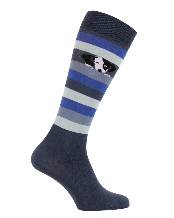 Cool dog riding socks