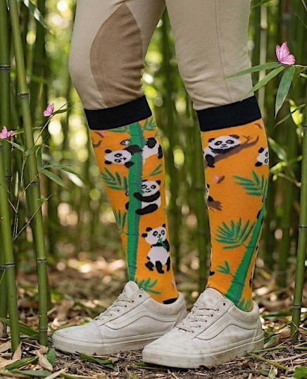 chaussette equitation avec pandas fond orange en situation