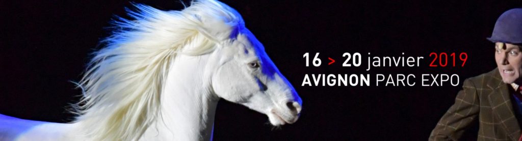 Kozysocks Le Blog A Cheval Sur Les Conseils En Equitation