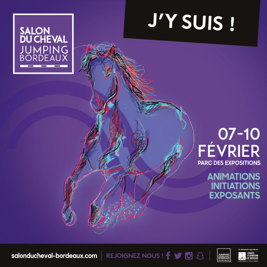 Kozysocks Le Blog A Cheval Sur Les Conseils En Equitation