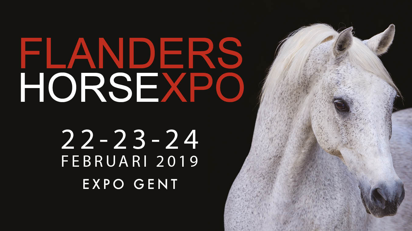 KozySocks sera à Flanders Horse Expo 2019 en Belgique