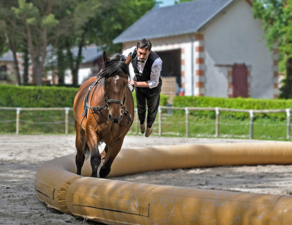 Kozysocks Le Blog A Cheval Sur Les Conseils En Equitation