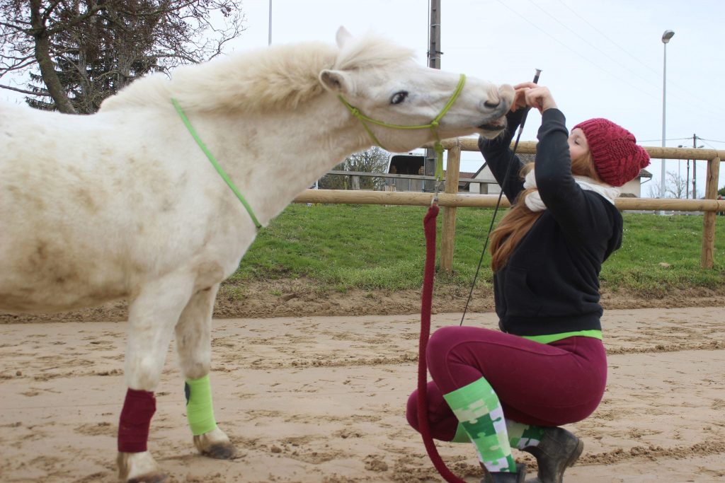 Kozysocks Le Blog A Cheval Sur Les Conseils En Equitation