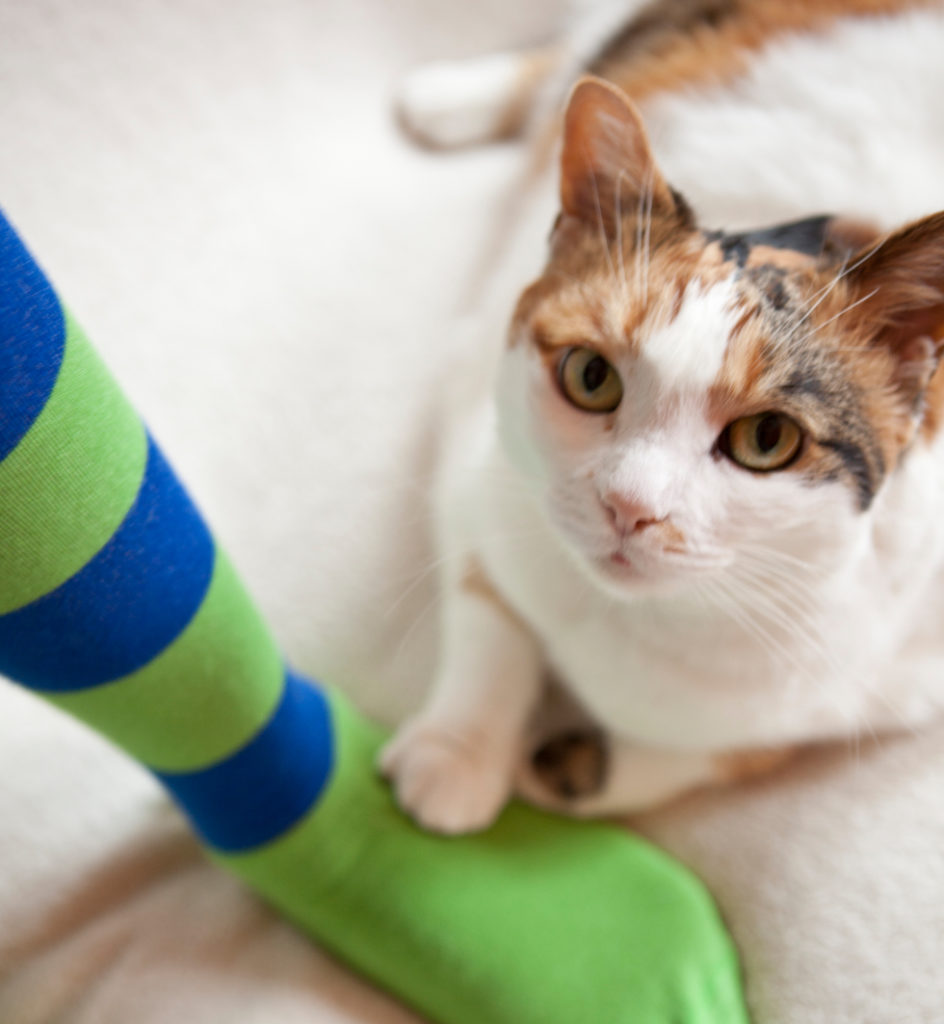 Comment choisir ses chaussettes d’équitation molletonnées pour l’hiver ?