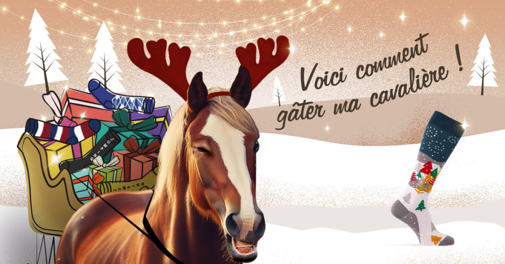 Les offres et nouveautés de Noël sont là ! Profitez-en vite !