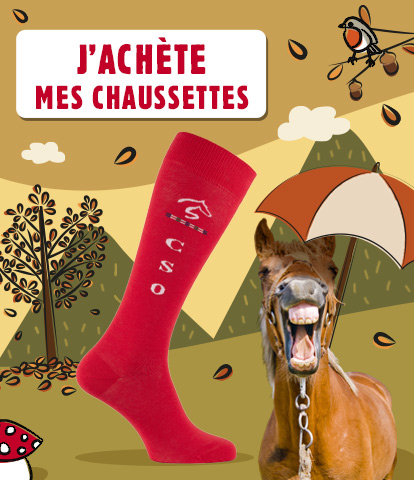 Bannière automne chaussettes KozySocks cheval CSO